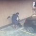 Homem prende cão em carro estacionado e motorista arrasta animal sem perceber em SC; VÍDEO