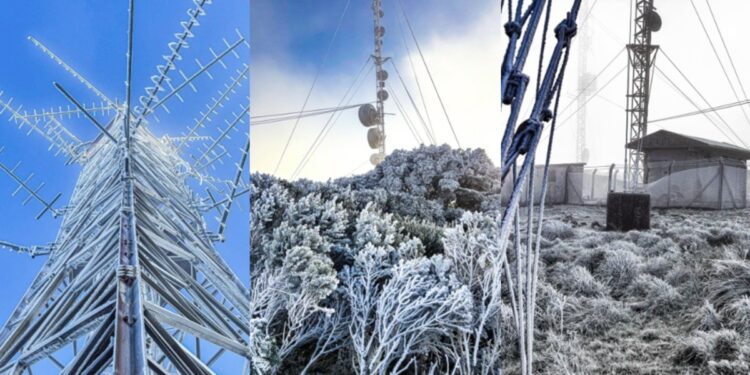 Neve, ovelhas de cachecol e cascata que congela: como é viver em Urupema, a Capital Nacional do Frio