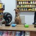 Itens 'roubados', escorregões e saltos em clientes: veja as peripécias do cão 'atrapalhante' de mercado em SC